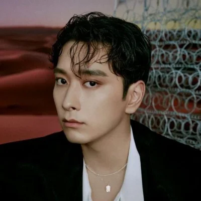 Chansung (찬성)